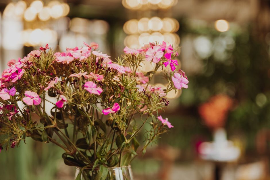 A close-up view of a bouquet of fresh pink and magenta Dianthus flowers with ruffled petals and green stems, arranged in a clear glass vase. The bouquet is prominently positioned on a table, with natu